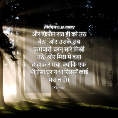 Picture 04 - निर्गमन 12:30 HINIRV - और फ़िरौन रात ही को - Bible Verse Picture