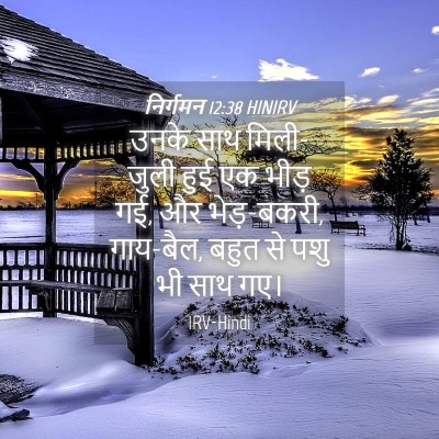 Picture 04 - निर्गमन 12:38 HINIRV - उनके साथ मिली-जुली - Bible Verse Picture
