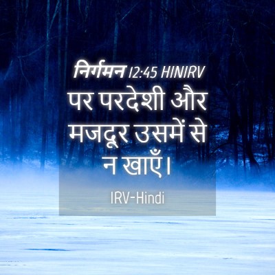 Picture 04 - निर्गमन 12:45 HINIRV - पर परदेशी और मजदूर - Bible Verse Picture