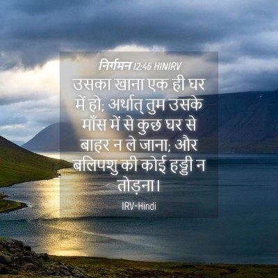Picture 04 - निर्गमन 12:46 HINIRV - उसका खाना एक ही घर - Bible Verse Picture