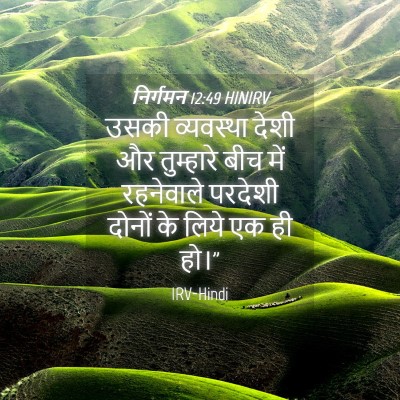 Picture 04 - निर्गमन 12:49 HINIRV - उसकी व्यवस्था - Bible Verse Picture