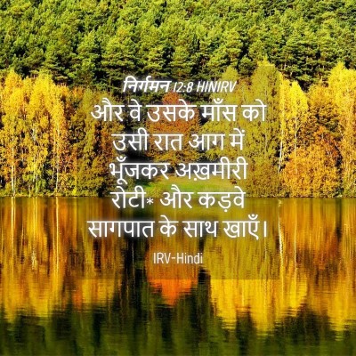 Picture 04 - निर्गमन 12:8 HINIRV - और वे उसके माँस को - Bible Verse Picture