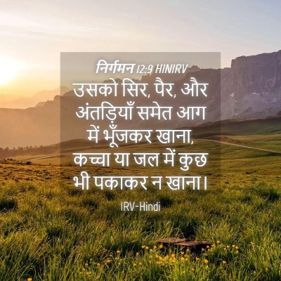 Picture 04 - निर्गमन 12:9 HINIRV - उसको सिर, पैर, और - Bible Verse Picture