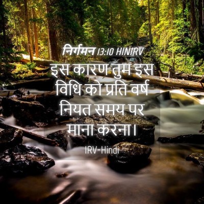 Picture 04 - निर्गमन 13:10 HINIRV - इस कारण तुम इस विधि - Bible Verse Picture