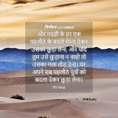 Picture 04 - निर्गमन 13:13 HINIRV - और गदही के हर एक - Bible Verse Picture