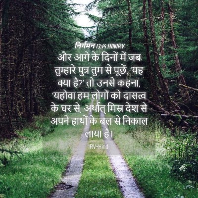 Picture 04 - निर्गमन 13:14 HINIRV - और आगे के दिनों में - Bible Verse Picture