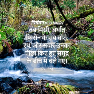 Picture 04 - निर्गमन 14:23 HINIRV - तब मिस्री, अर्थात् - Bible Verse Picture