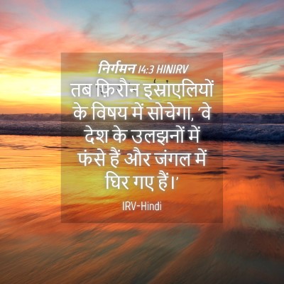 Picture 04 - निर्गमन 14:3 HINIRV - तब फ़िरौन - Bible Verse Picture