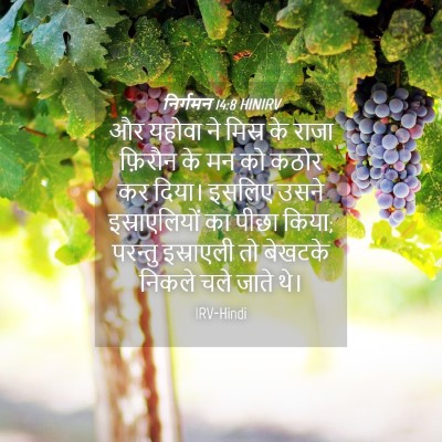 Picture 04 - निर्गमन 14:8 HINIRV - और यहोवा ने मिस्र - Bible Verse Picture