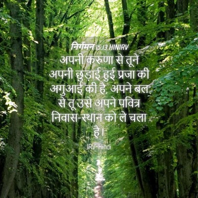 Picture 04 - निर्गमन 15:13 HINIRV - अपनी करुणा से तूने - Bible Verse Picture