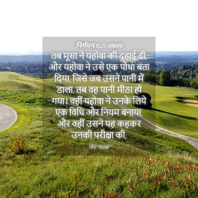 Picture 04 - निर्गमन 15:25 HINIRV - तब मूसा ने यहोवा की - Bible Verse Picture