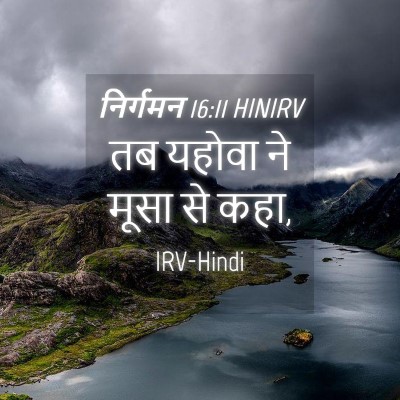 Picture 04 - निर्गमन 16:11 HINIRV - तब यहोवा ने मूसा से - Bible Verse Picture
