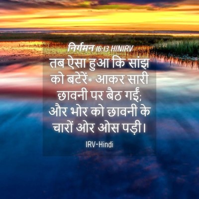 Picture 04 - निर्गमन 16:13 HINIRV - तब ऐसा हुआ कि सांझ - Bible Verse Picture