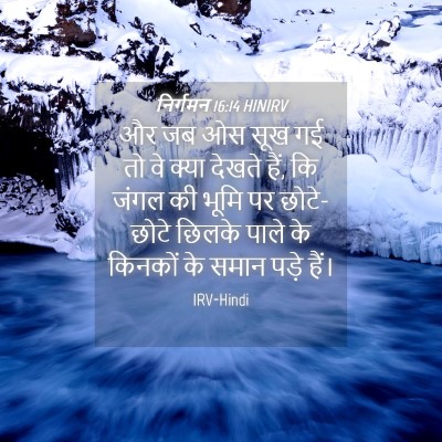 Picture 04 - निर्गमन 16:14 HINIRV - और जब ओस सूख गई तो - Bible Verse Picture