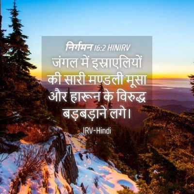 Picture 04 - निर्गमन 16:2 HINIRV - जंगल में - Bible Verse Picture