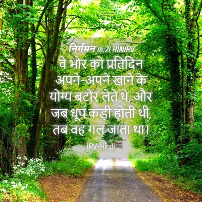Picture 04 - निर्गमन 16:21 HINIRV - वे भोर को प्रतिदिन - Bible Verse Picture