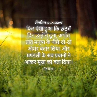 Picture 04 - निर्गमन 16:22 HINIRV - फिर ऐसा हुआ कि - Bible Verse Picture