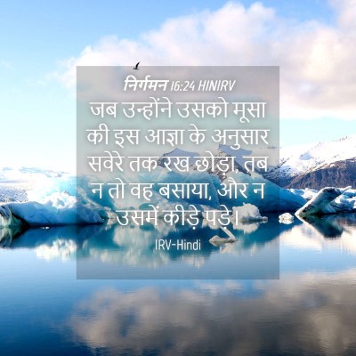 Picture 04 - निर्गमन 16:24 HINIRV - जब उन्होंने उसको - Bible Verse Picture