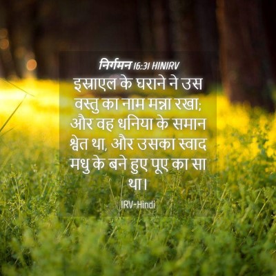 Picture 04 - निर्गमन 16:31 HINIRV - इस्राएल के घराने - Bible Verse Picture
