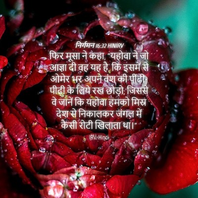 Picture 04 - निर्गमन 16:32 HINIRV - फिर मूसा ने कहा, - Bible Verse Picture