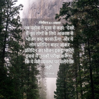 Picture 04 - निर्गमन 16:4 HINIRV - तब यहोवा ने मूसा से - Bible Verse Picture