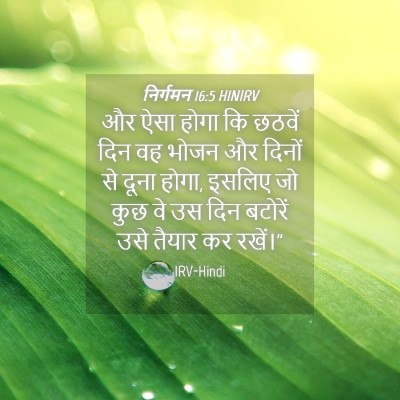 Picture 04 - निर्गमन 16:5 HINIRV - और ऐसा होगा कि - Bible Verse Picture