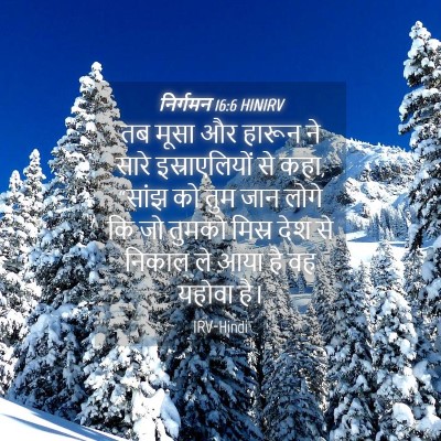 Picture 04 - निर्गमन 16:6 HINIRV - तब मूसा और हारून ने - Bible Verse Picture