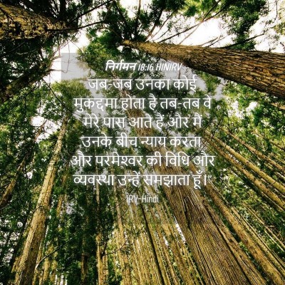 Picture 04 - निर्गमन 18:16 HINIRV - जब-जब उनका कोई - Bible Verse Picture