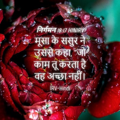 Picture 04 - निर्गमन 18:17 HINIRV - मूसा के ससुर ने - Bible Verse Picture