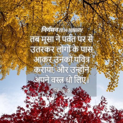 Picture 04 - निर्गमन 19:14 HINIRV - तब मूसा ने पर्वत पर - Bible Verse Picture