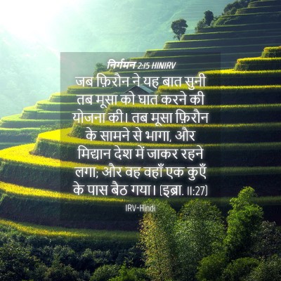 Picture 04 - निर्गमन 2:15 HINIRV - जब फ़िरौन ने यह बात - Bible Verse Picture