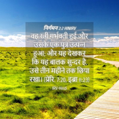 Picture 04 - निर्गमन 2:2 HINIRV - वह स्त्री गर्भवती - Bible Verse Picture