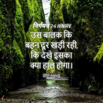 Picture 04 - निर्गमन 2:4 HINIRV - उस बालक कि बहन दूर - Bible Verse Picture