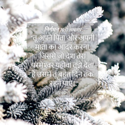 Picture 04 - निर्गमन 20:12 HINIRV - “तू अपने पिता और - Bible Verse Picture
