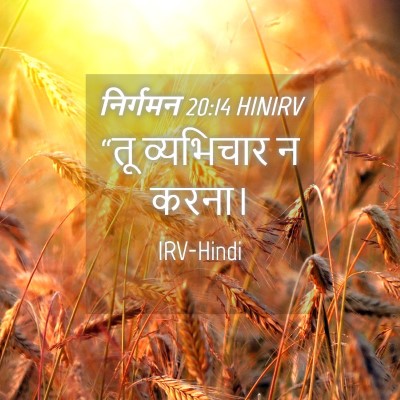 Picture 04 - निर्गमन 20:14 HINIRV - “तू व्यभिचार न - Bible Verse Picture