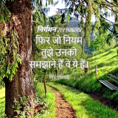 Picture 04 - निर्गमन 21:1 HINIRV - फिर जो नियम तुझे - Bible Verse Picture