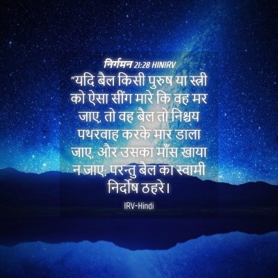 Picture 04 - निर्गमन 21:28 HINIRV - “यदि बैल किसी - Bible Verse Picture