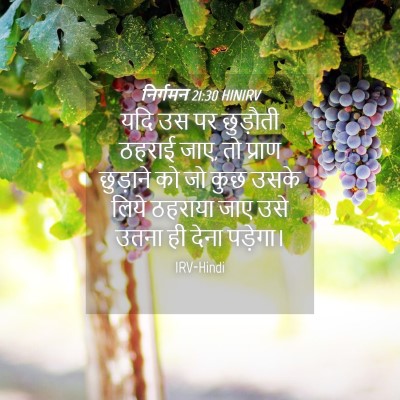 Picture 04 - निर्गमन 21:30 HINIRV - यदि उस पर छुड़ौती - Bible Verse Picture