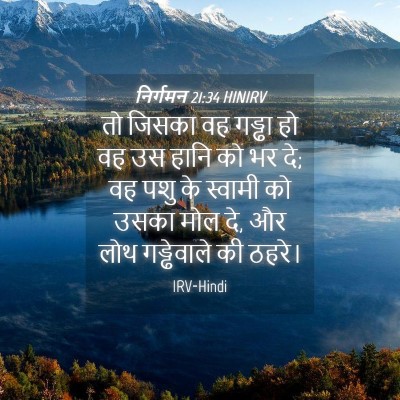 Picture 04 - निर्गमन 21:34 HINIRV - तो जिसका वह गड्ढा - Bible Verse Picture