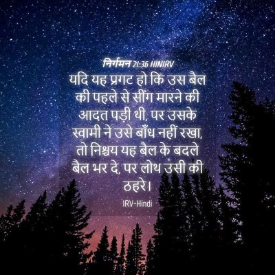 Picture 04 - निर्गमन 21:36 HINIRV - यदि यह प्रगट हो कि - Bible Verse Picture