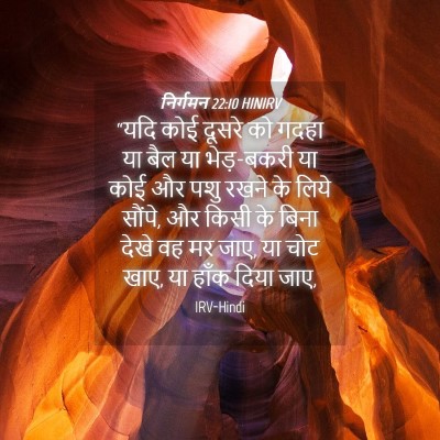 Picture 04 - निर्गमन 22:10 HINIRV - “यदि कोई दूसरे को - Bible Verse Picture