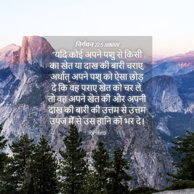 Picture 04 - निर्गमन 22:5 HINIRV - “यदि कोई अपने पशु - Bible Verse Picture