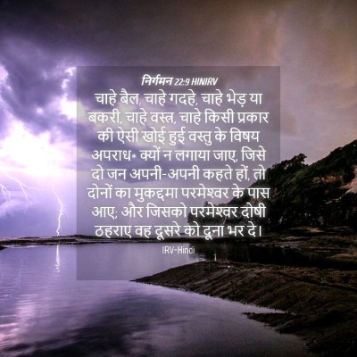 Picture 04 - निर्गमन 22:9 HINIRV - चाहे बैल, चाहे - Bible Verse Picture
