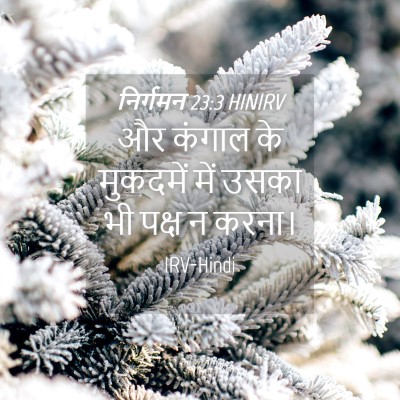 Picture 04 - निर्गमन 23:3 HINIRV - और कंगाल के - Bible Verse Picture