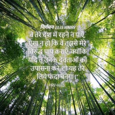 Picture 04 - निर्गमन 23:33 HINIRV - वे तेरे देश में - Bible Verse Picture