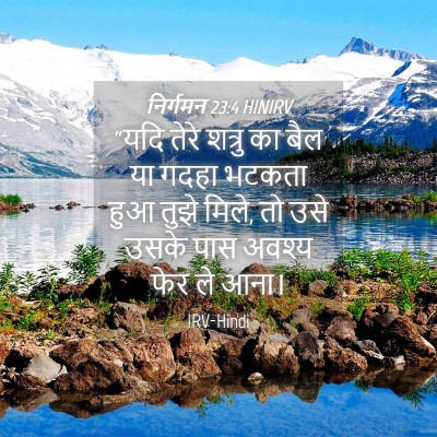 Picture 04 - निर्गमन 23:4 HINIRV - “यदि तेरे शत्रु का - Bible Verse Picture