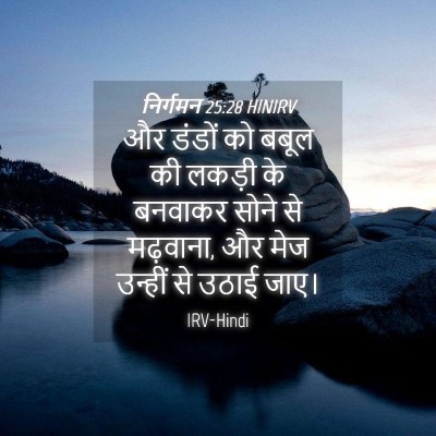 Picture 04 - निर्गमन 25:28 HINIRV - और डंडों को बबूल की - Bible Verse Picture