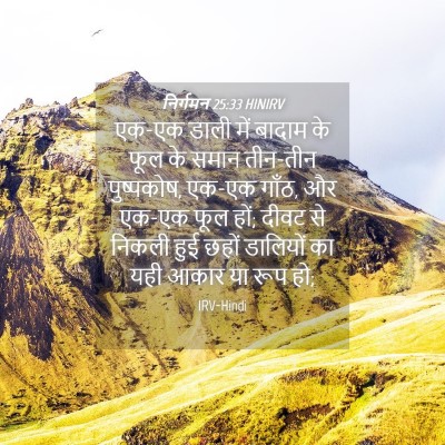 Picture 04 - निर्गमन 25:33 HINIRV - एक-एक डाली में - Bible Verse Picture
