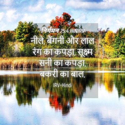 Picture 04 - निर्गमन 25:4 HINIRV - नीले, बैंगनी और लाल - Bible Verse Picture