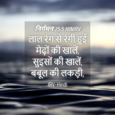 Picture 04 - निर्गमन 25:5 HINIRV - लाल रंग से रंगी हुई - Bible Verse Picture